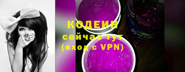 хмурый Мегион