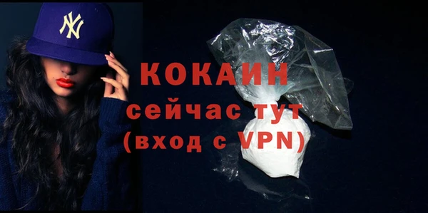 хмурый Мегион