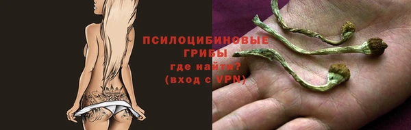 хмурый Мегион