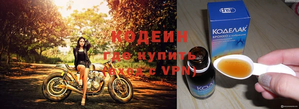 хмурый Мегион