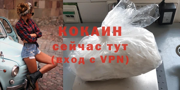 хмурый Мегион