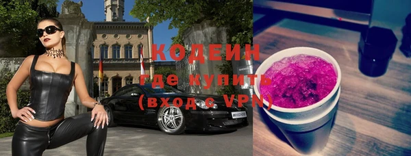 индика Баксан