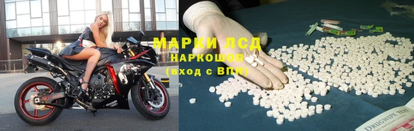 СК Медногорск