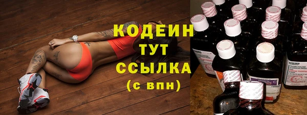 хмурый Мегион