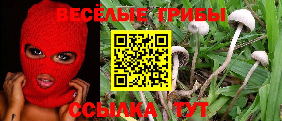 Псилоцибиновые грибы мухоморы Ханты-Мансийск